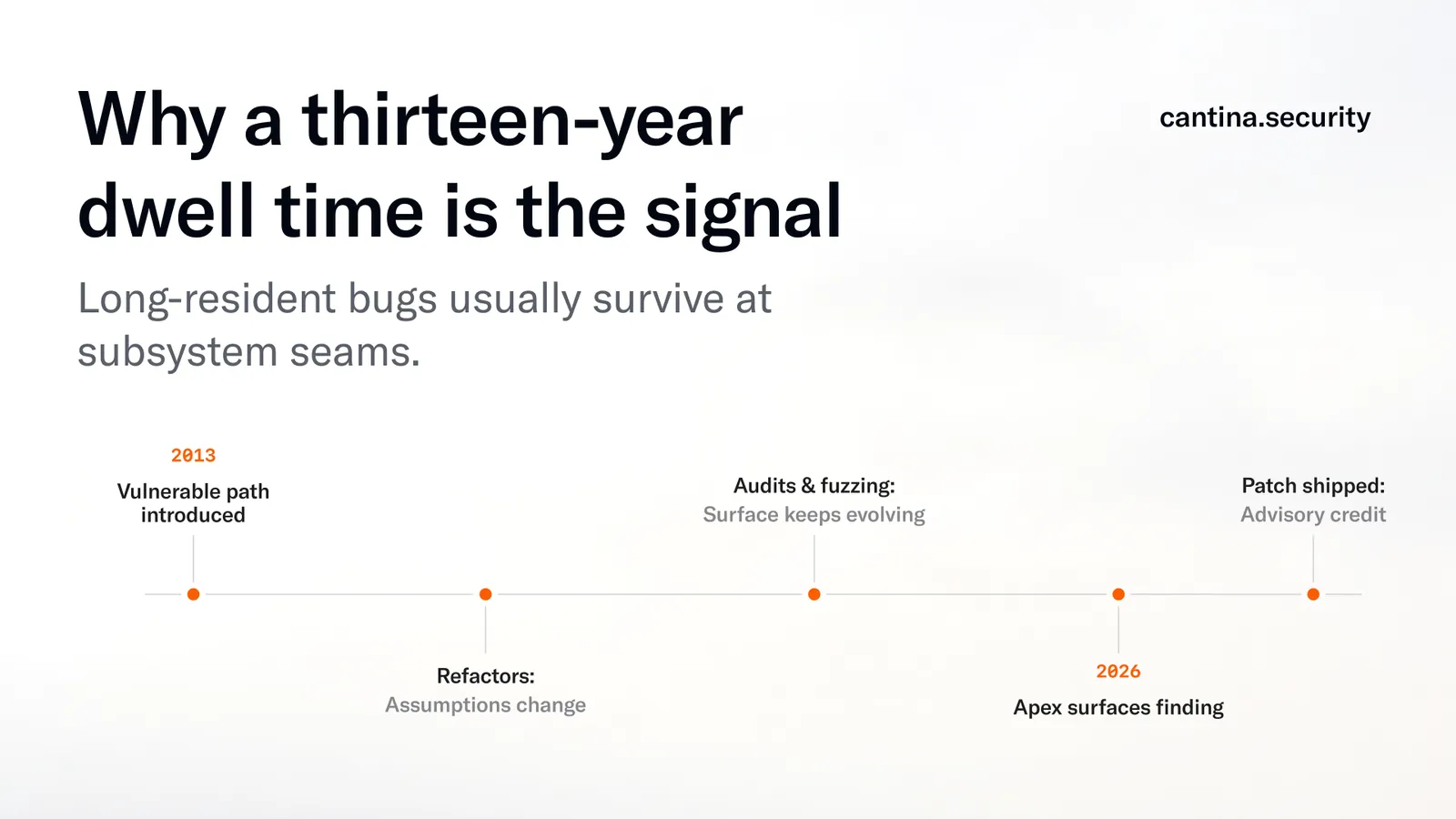 thirteen-year-bug