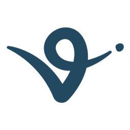 Virtuals Systems Global Limited