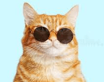 undefined avatar image