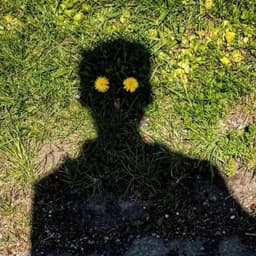 undefined avatar image