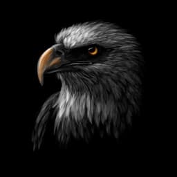 undefined avatar image
