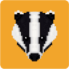 BadgerDAO