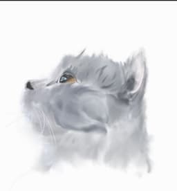 undefined avatar image