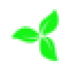 Porter (Arbor)